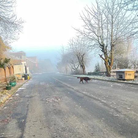 Innas Ambiente Appartamento *