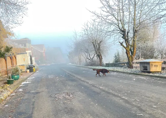 Innas Ambiente 아파트 *