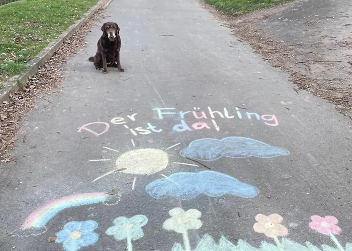 Innas Ambiente 아파트 헬렌